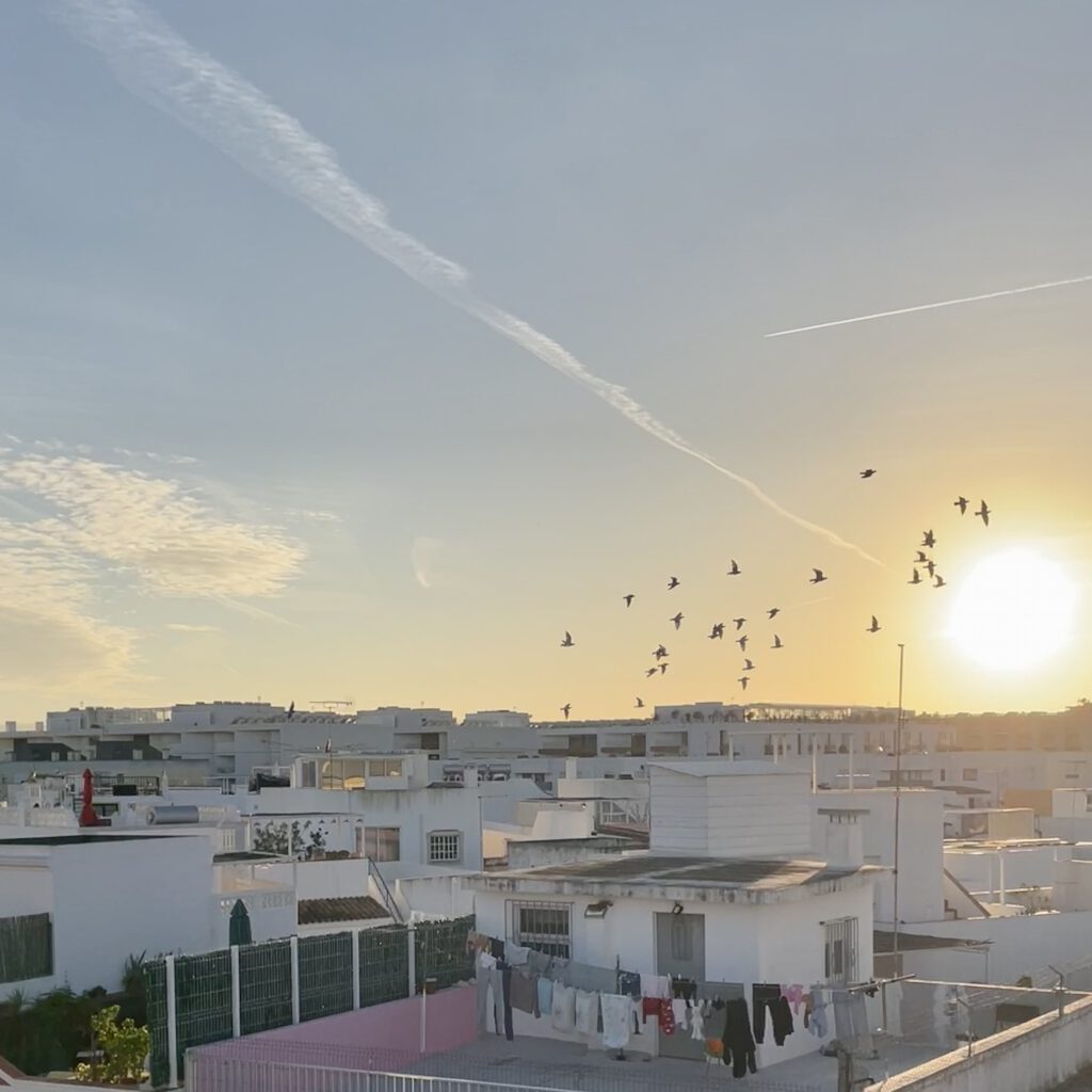 A view of Olhão’s rooftops at sunset, with a warm sky in the background and a flock of birds in flight.